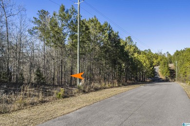CALL YOUR BUILDER, LAY LAKE MAIN CHANNEL LOT! Secure this rare - photo 19