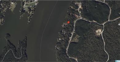 CALL YOUR BUILDER, LAY LAKE MAIN CHANNEL LOT! Secure this rare - photo 21