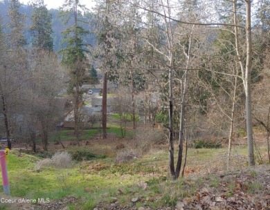 Fernan Lake Lot For Sale in Coeur d Alene Idaho