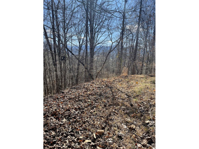 Lot in Mountain Harbour. Mountain Harbour is a gated community - photo 2