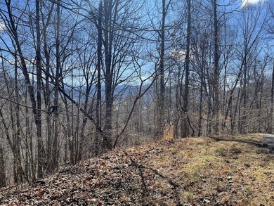 Lot in Mountain Harbour. Mountain Harbour is a gated community - photo 3