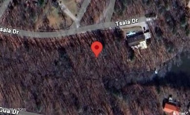 Don't miss this rare opportunity to own a vacant double lot in - photo 3