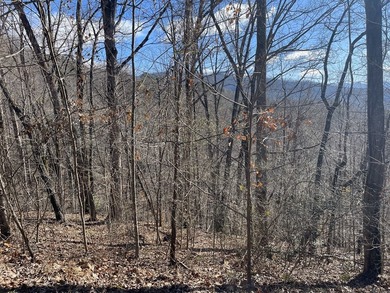 Lot in Mountain Harbour. Mountain Harbour is a gated community - photo 4