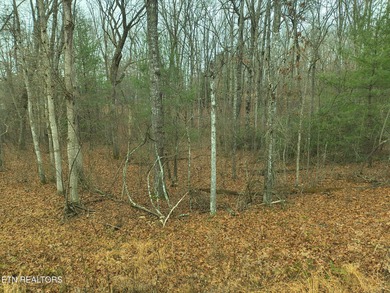 Don't miss this rare opportunity to own a vacant double lot in - photo 4