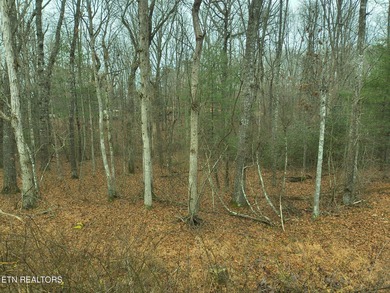 Don't miss this rare opportunity to own a vacant double lot in - photo 5