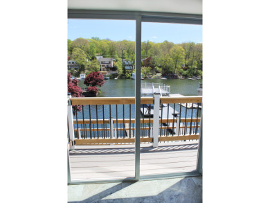 Updated lake front, new kitchen, 4 new baths, 3 bedrooms + more! - photo 25