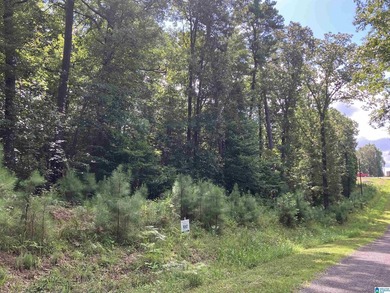 Nestled high in the mountains, only 35 minutes from Birmingham - photo 7