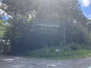 Nestled high in the mountains, only 35 minutes from Birmingham - photo 8