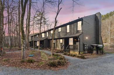 Cartecay River Condo Active Under Contract in East Ellijay Georgia