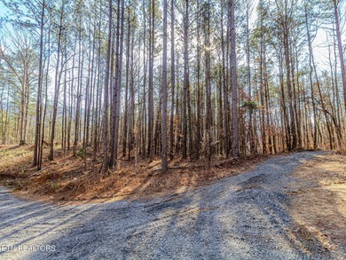 Ocoee River Lot Sale Pending in Benton Tennessee