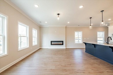 Traton Homes, Brooks elevation *E* end unit! Estimated June/July - photo 4