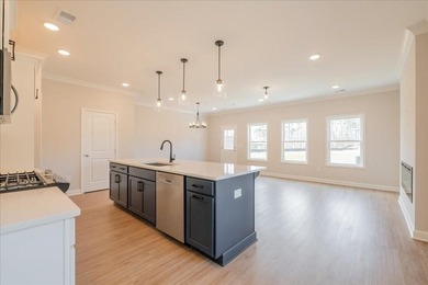 Traton Homes, Brooks elevation *E* end unit! Estimated June/July - photo 8