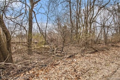 Lake Lot For Sale in Commerce Twp, Michigan
