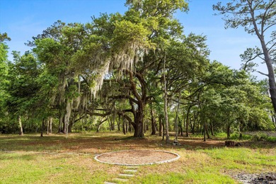 Incredible Deepwater Property on Bohicket Creek! Welcome to 3399 - photo 44