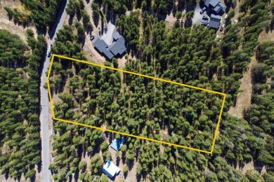 Payette Lake Acreage For Sale in Mccall Idaho