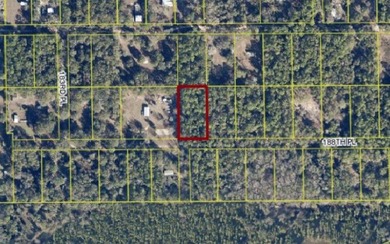 Suwannee River Lot For Sale in Live Oak Florida