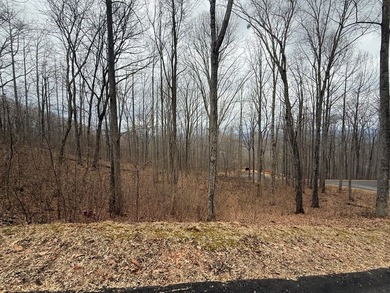 Follow your dreams to this exceptional mountain-view homesite in - photo 1