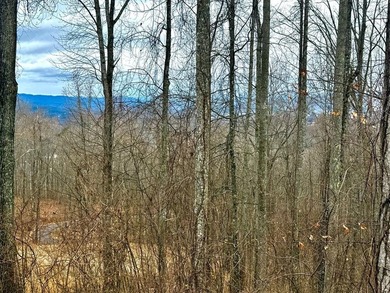Follow your dreams to this exceptional mountain-view homesite in - photo 2