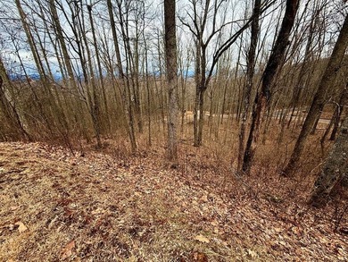 Follow your dreams to this exceptional mountain-view homesite in - photo 3