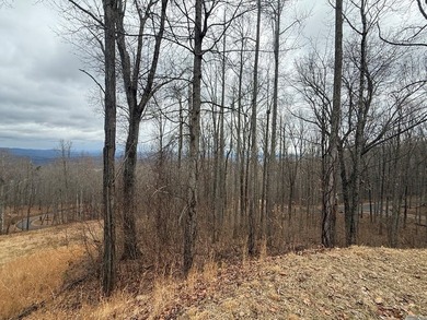 Follow your dreams to this exceptional mountain-view homesite in - photo 4