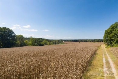 Incredible opportunity for a developer! Waterfront acreage that - photo 5