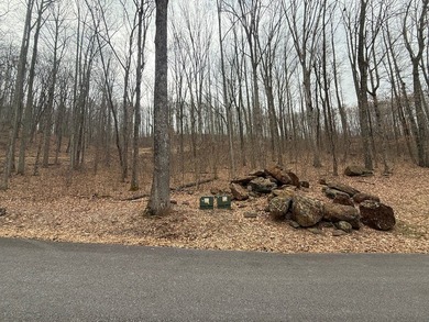 Follow your dreams to this exceptional mountain-view homesite in