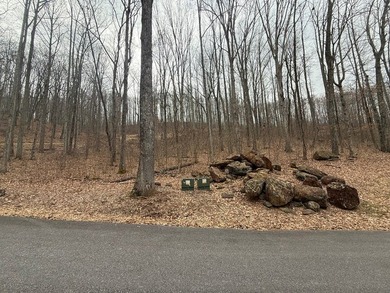 Follow your dreams to this exceptional mountain-view homesite in - photo 5