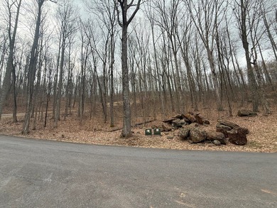 Follow your dreams to this exceptional mountain-view homesite in