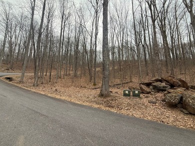 Follow your dreams to this exceptional mountain-view homesite in