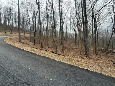 Follow your dreams to this exceptional mountain-view homesite in