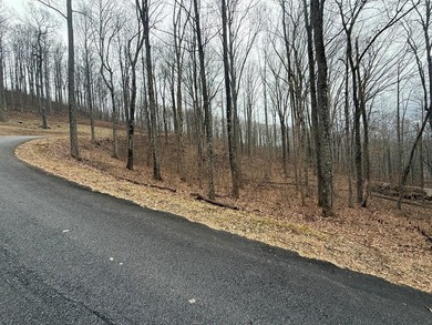 Follow your dreams to this exceptional mountain-view homesite in - photo 8