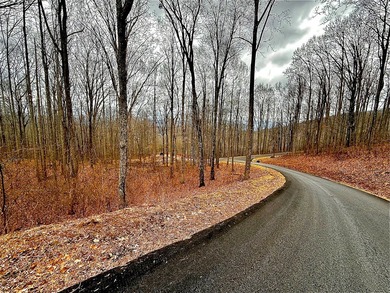 Follow your dreams to this exceptional mountain-view homesite in