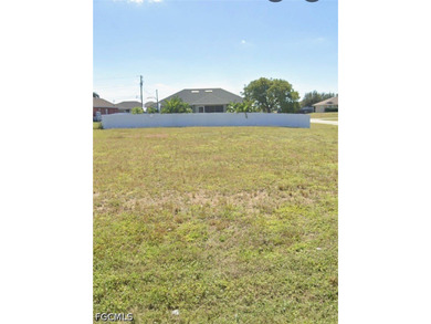 Unique opportunity to own a desirable corner lot with the option - photo 1