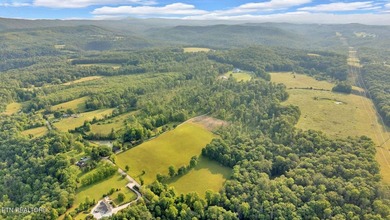 SOUTHERN LIVING, MEETS EQUESTRIAN LIVING ON 107 PRIVATE ACRES - photo 40