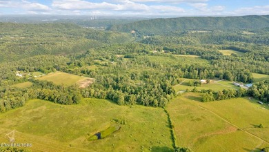 SOUTHERN LIVING, MEETS EQUESTRIAN LIVING ON 107 PRIVATE ACRES - photo 43