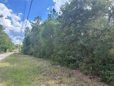 Black Sink Prairie Lake Acreage For Sale in Citra Florida