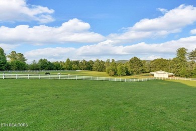 SOUTHERN LIVING, MEETS EQUESTRIAN LIVING ON 107 PRIVATE ACRES - photo 59