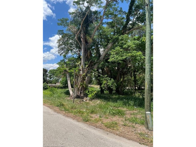 Spacious 1/2-acre mobile home lot conveniently located near the - photo 7