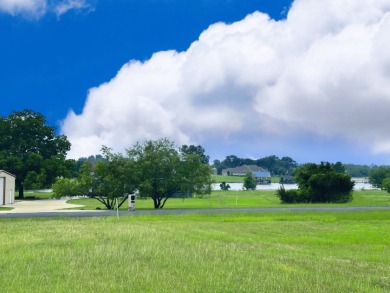 Big Texas Skies - Lakeside Homesite in Desired Subdivision - photo 19