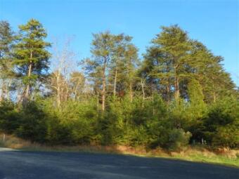 Vacant Lot In Heron Bay - Lake Lot For Sale in New London, North Carolina