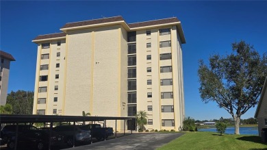 Lake Grassy Condo For Sale in Lake Placid Florida