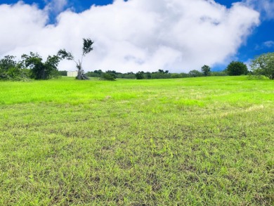 Big Texas Skies - Lakeside Homesite in Desired Subdivision - photo 22