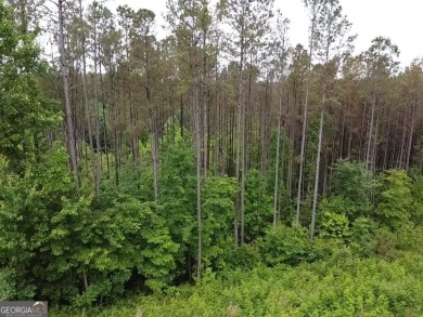 Lake Lot For Sale in East Ellijay, Georgia
