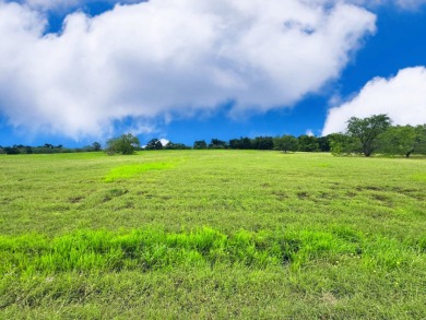 Big Texas Skies - Lakeside Homesite in Desired Subdivision - photo 10
