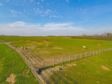 Beautiful lakeside property in the heart of the Cumberland - photo 48