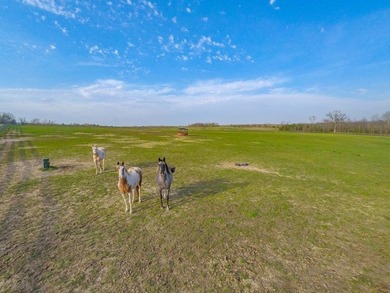 Beautiful lakeside property in the heart of the Cumberland - photo 49