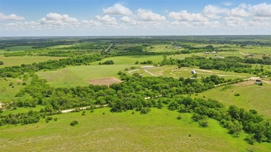 (private lake, pond, creek) Acreage For Sale in De Leon Texas