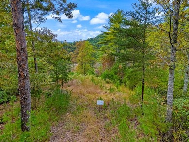 Riverfront Mountain Homesite in the highly desirable gated - photo 4