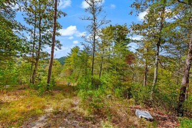 Riverfront Mountain Homesite in the highly desirable gated - photo 7