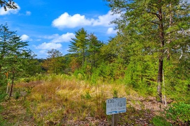 Riverfront Mountain Homesite in the highly desirable gated - photo 8